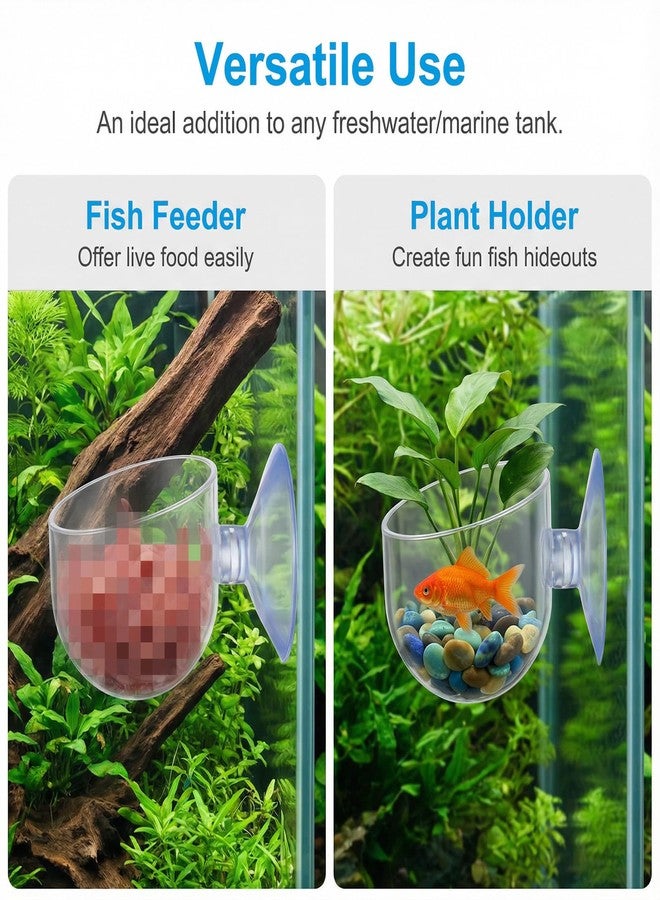 WJIAAA 3 Pcs Aquarium Plant Holder, 2 Sizes Fish Tank Aquatic Plant Pot with Suction Cups, Red Worm Fish Feeder, Acrylic Clear Round Betta Tank Accessories for Water Feature Decoration - Image 2
